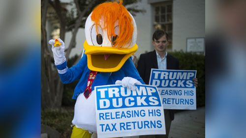 Donald Duck lookalike protests for Trump to release tax returns.