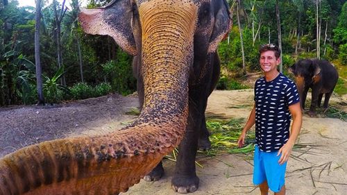 Elephant snaps selfie with GoPro and becomes internet sensation