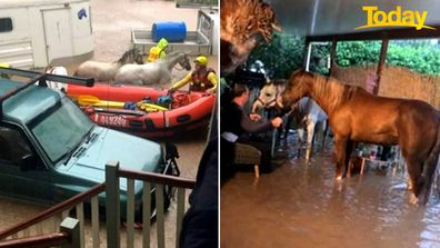 Grantham, Lockyer Valley Queensland flood victim Linda Godley