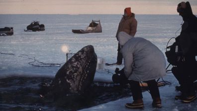 Operation Breakthrough Whale Rescue.