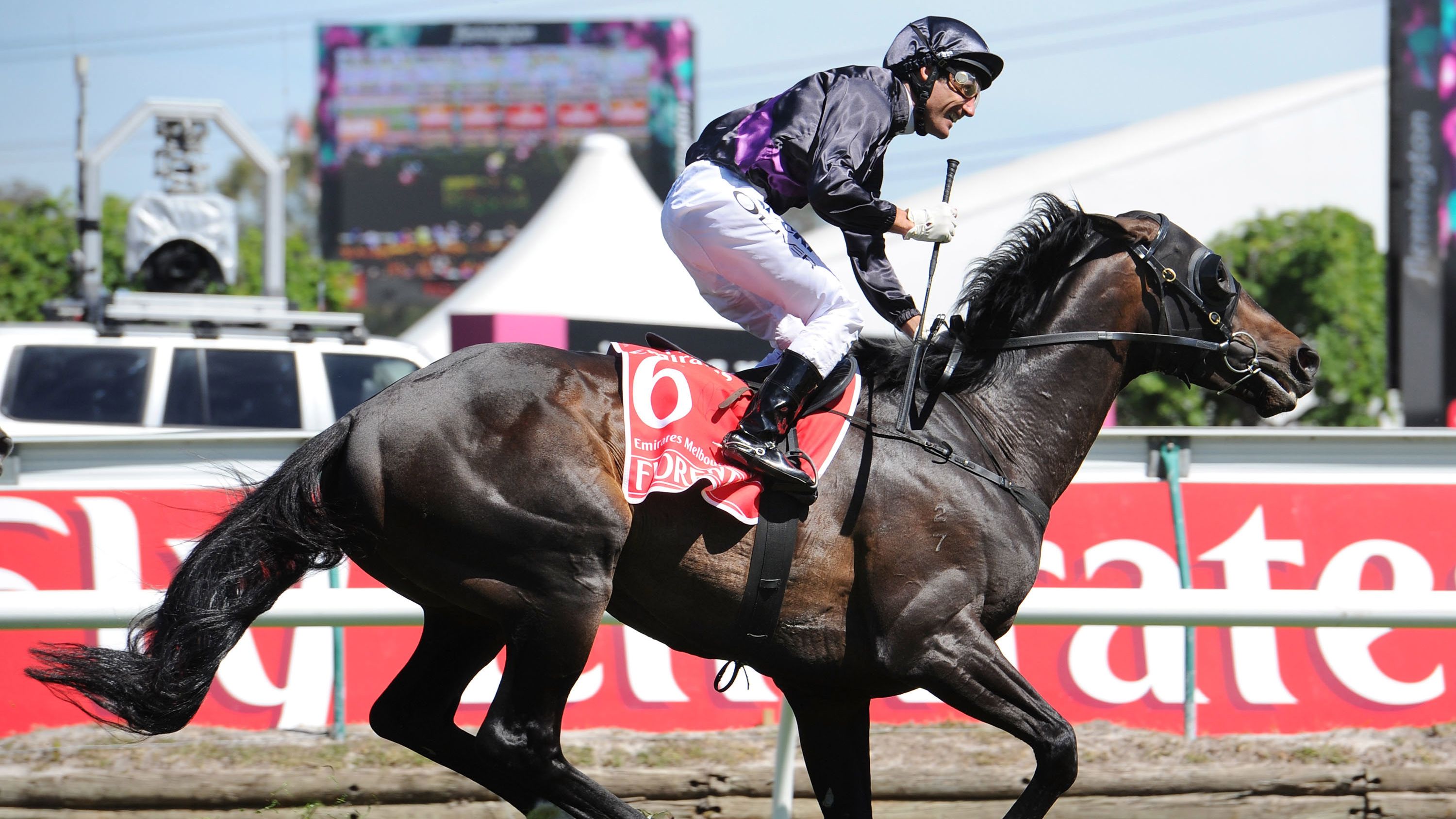 Fiorente in action during the 2013 Melbourne Cup while being ridden by Damien Oliver