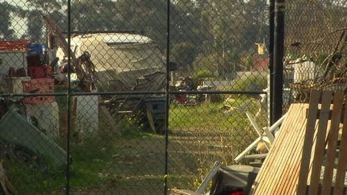 The pair of dogs ran into Ms Harraghy's backyard on the afternoon of June 17. (9NEWS)