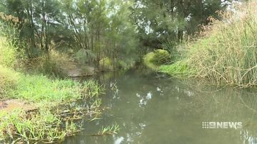 gardens abandoned ahead of water restrictions