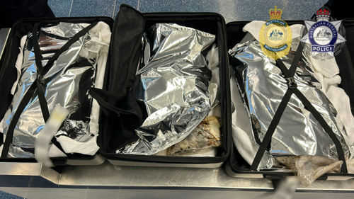 A detailed search of the bags allegedly located 39kg of a substance covered in chilli flakes.