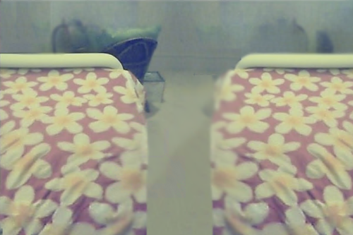 Tropical flowers spread across patterned pink bedspreads.