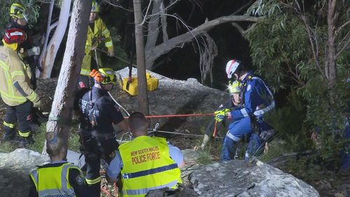 A multi-agency response ensued to help rescue the pair that had fallen down a cliff in northern Sydney. 