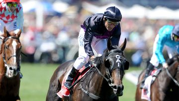 Jockey Damian Oliver rode Gai Waterhouse-trained Fiorente to a third Cup victory. (AAP)