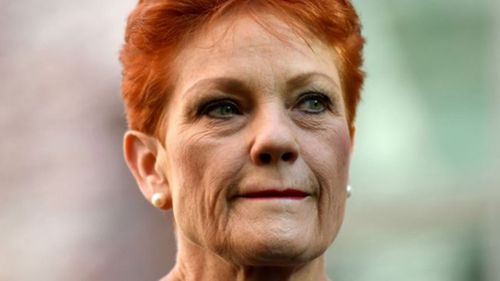 Senator Pauline Hanson has reneged on an agreement to support the cuts, costing her Mr Burston's senate seat.