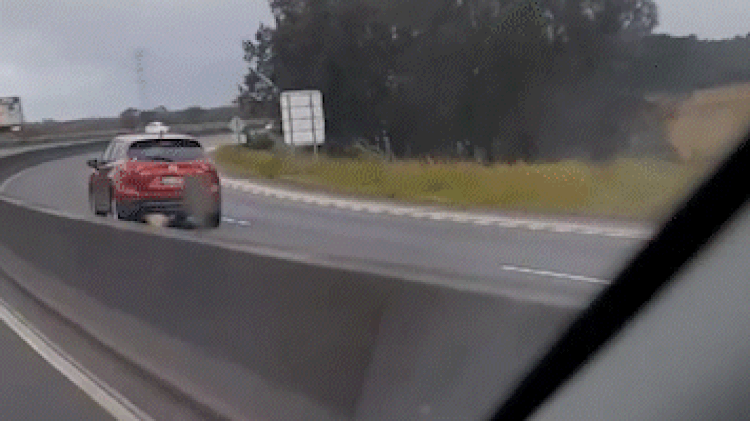Two NSW motorists caught driving the wrong way on major roads