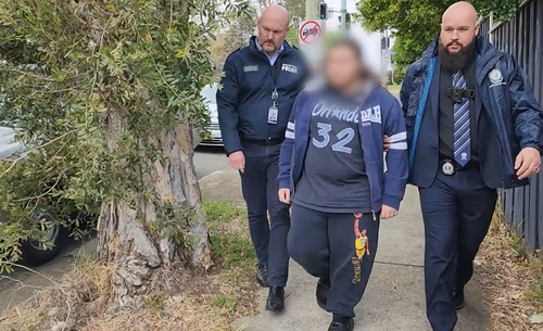 New South Wales police have charged a 20-year-old Sydney man with allegedly possessing a terabyte of child pornography.