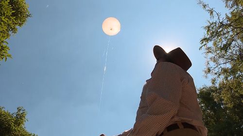 Helium balloons are used to attract and trap the bees. Picture: 9NEWS