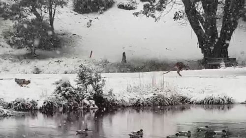 Snow arrives in Australia early.