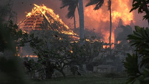 Hawaii wildfires