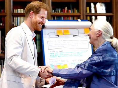 Prince Harry and Dr. Jane Goodall.