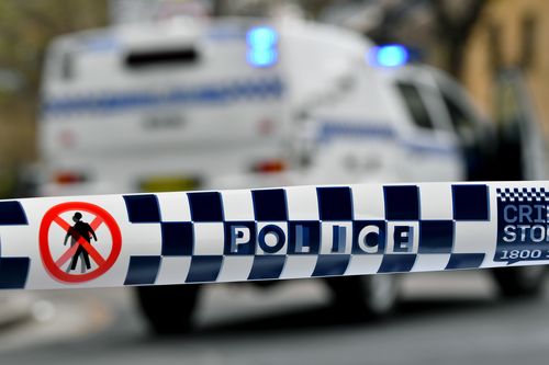 Girl, 14, charged with Adelaide school stabbing allegedly had a list of other targets