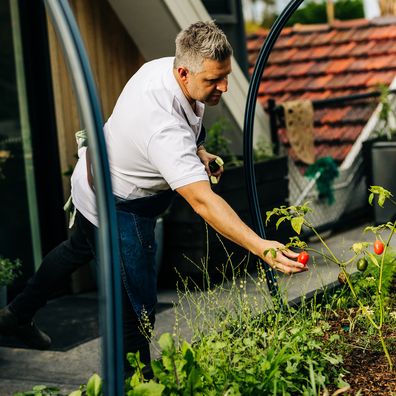 Massimo Mele in his urban vegetable garden at home in Hobart.