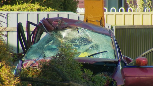 Boparali's vehicle veered off the wet road before hitting a tree, bush shelter and a Stobie pole.