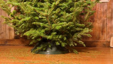 A Christmas tree with pine needles on the ground.