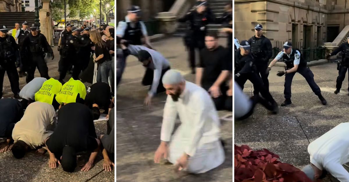 'Outrageous' protester behaviour slammed as cops accused of violence