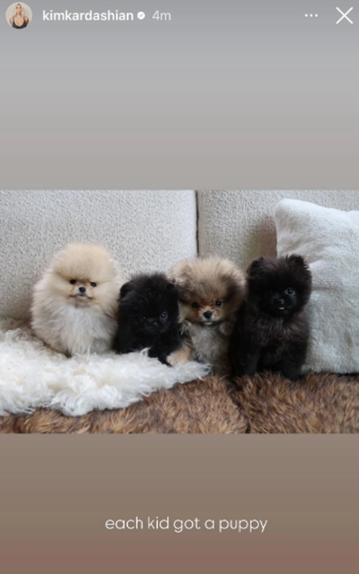 Kim Kardashian gifts kids puppies for Christmas