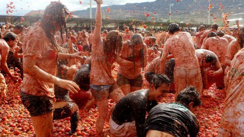 Spain’s tomato pelting ritual stained by privatisation