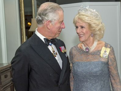 Prince Charles and Camilla mark their 10th wedding anniversary, April 2015