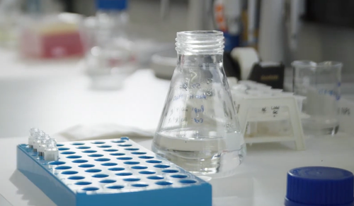 TDDA Drug Testing Services