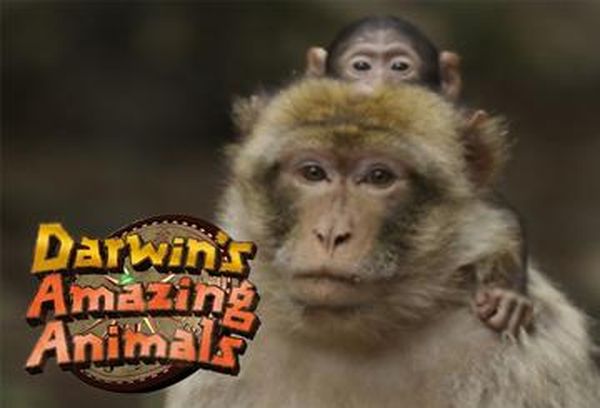 Darwin's Amazing Animals