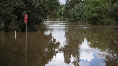 NSW flood