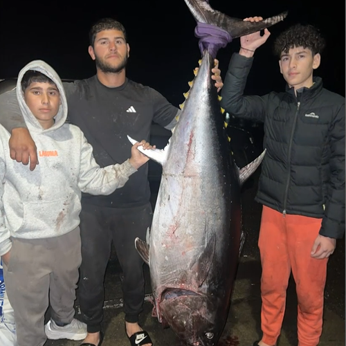 Três irmãos fisgaram um atum monstro pesando 107,5 quilos na costa sudoeste de Victoria.