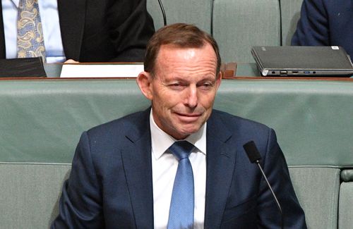 Former prime minister Tony Abbott has continued to speak out on the NEG.