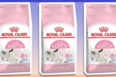 9PR; Royal Canin First Age Mother and Babycat Dry Food