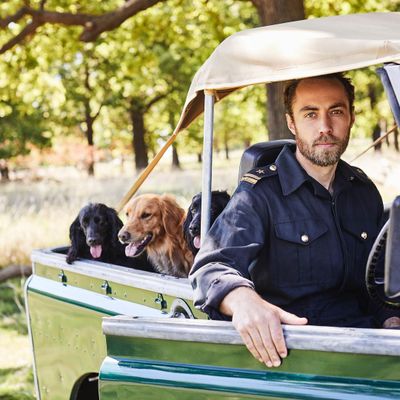 Kate Middleton's brother takes her dogs for a trip
