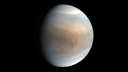 Astronomers see possible hints of life in Venus's clouds