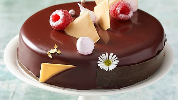 Chocolate and raspberry entremets