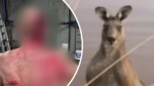 Col was attacked by a kangaroo as he tried to save his dog.