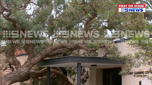 The kindergarten at Newington College was evacuated after a tree collapsed on the building and ruptured a gas pipe. Picture: 9NEWS