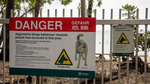Fraser Island, Austrália - 6 de fevereiro de 2023: Sinal de alerta de perigo dingo agressivo na praia de Fraser Island, Austrália.