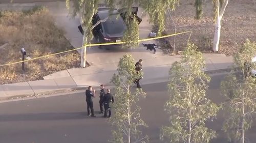 News USA Phoenix fatal road rage shooting girl 10 killed home driveway