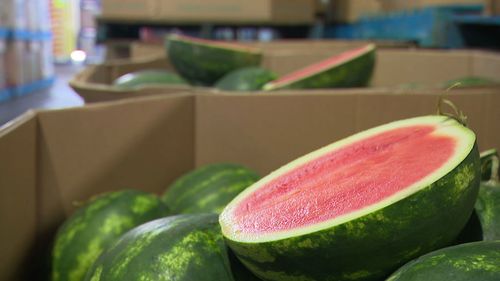 The price of watermelon is squeezing the household budget of Aussie families.