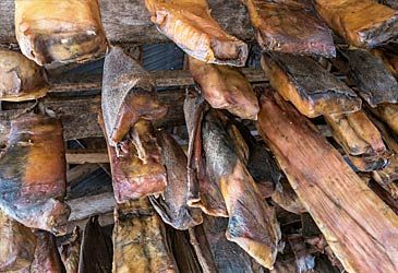 Iceland's kæstur hákarl is the fermented meat of which fish?