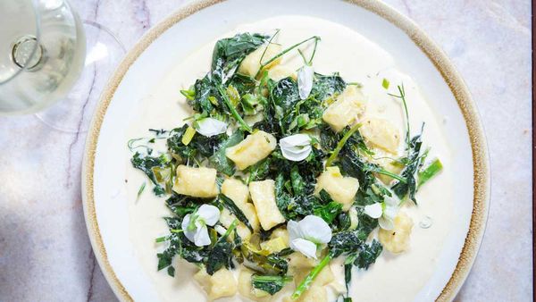 Hearth &amp; Soul gnocchi with pea tendrils, broad bean shoots and a green garlic cream