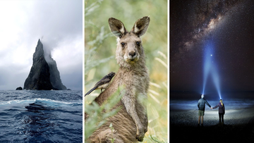 From ancient volcanoes, curious marsupials, and stargazing lovers; these are the winning photos of NSW National Park&#x27;s inaugural photo competition. 