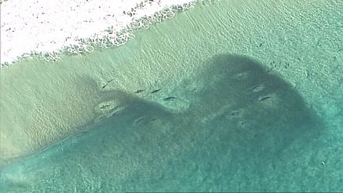 A 9NEWS helicopter captured the vision near Point Lookout. (9NEWS)