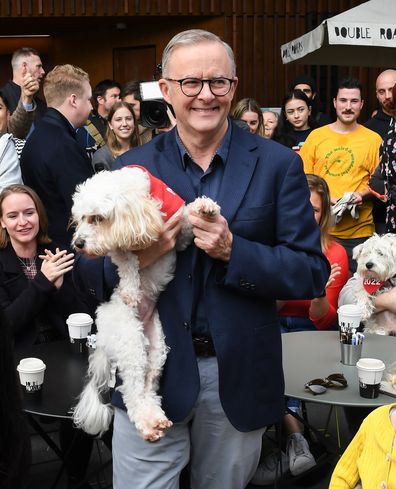 Prime Minister-elect Anthony Albanese holds his dog Toto as he shares a coffee with friends near his home on May 22, 2022 in Sydney, Australia. 