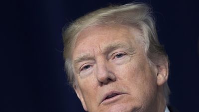 Donald Trump says he's 'like, really smart,' 'a very stable genius'