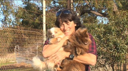 Dora Ryan picked up the dogs from the RSPCA today. Picture: 9NEWS