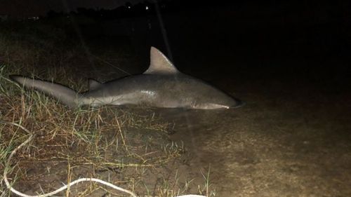 Jamie Hornsby reeled in the massive catch two nights ago. (Supplied)