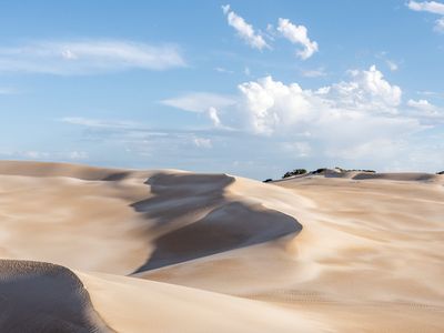 Explore the dunes