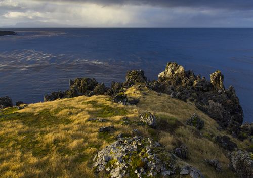 During winter, attacks on the albatross by the starving mice increases. Dropping bait on the island must take place during winter, which leaves a very small window of opportunity to carry out the plan to get rid of the mice.